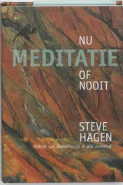 Omslag van Meditatie nu of nooit