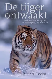 Omslag van De tijger ontwaakt