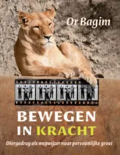 Omslag van Bewegen in kracht
