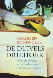 Omslag van De duivelsdriehoek