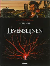 Omslag van Schande