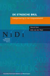 Omslag van De etnische bril