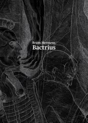Omslag van Bactrius