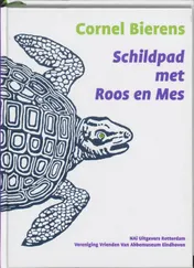 Omslag van Schildpad met Roos en Mes