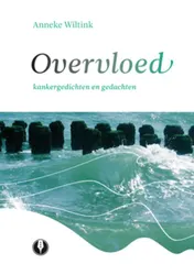 Omslag van Overvloed