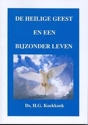 Omslag van De Heilige Geest en een bijzonder leven