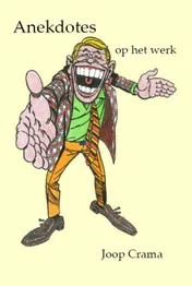 Omslag van Anekdotes op het werk
