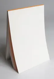Omslag van De onzichtbare schilder
