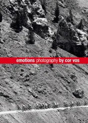 Omslag van Emotions