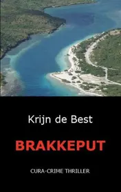 Omslag van Brakkeput
