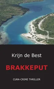 Omslag van Brakkeput