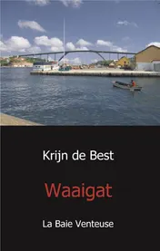 Omslag van Waaigat