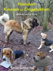 Omslag van Honden kwalen en ongelukken
