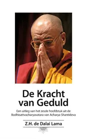 Omslag van De kracht van geduld