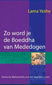 Omslag van Zo word je de Boeddha van Mededogen