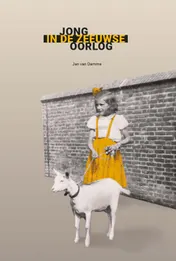 Omslag van Jong in de Zeeuwse oorlog