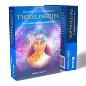 Omslag van Tweelingzielen Orakelkaarten