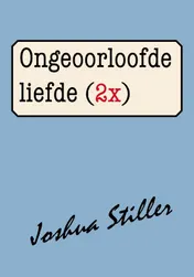 Omslag van Ongeoorloofde liefde (2x)