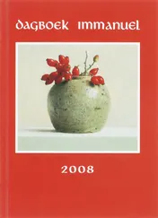 Omslag van 2008 Dagboek