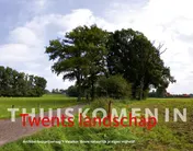 Omslag van Thuiskomen in Twents landschap