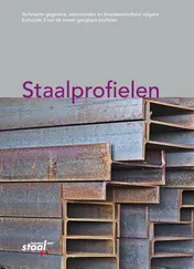 Omslag van Staalprofielen