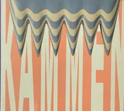 Omslag van Combs/kammel/peignes/kammen/pettini