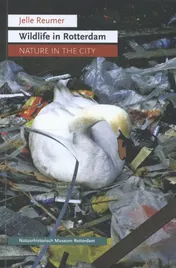 Omslag van Wildlife in Rotterdam