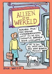 Omslag van Alleen op de wereld
