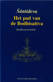 Omslag van Het pad van de Bodhisattva