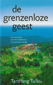 Omslag van De grenzeloze geest