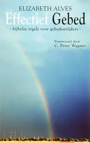 Omslag van Effectief gebied