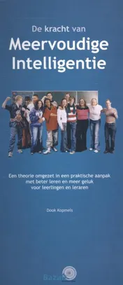 Omslag van De kracht van meervoudige intelligentie