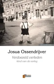 Omslag van Verdoezeld verleden