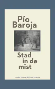 Omslag van De stad in de mist