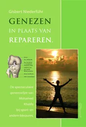 Omslag van Genezen in plaats van repareren
