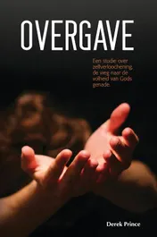 Omslag van Overgave
