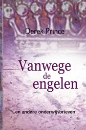 Omslag van Vanwege de engelen