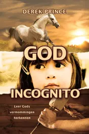 Omslag van God incognito