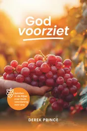 Omslag van God voorziet
