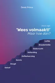 Omslag van Wees volmaakt, maar hoe?