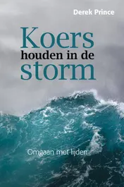 Omslag van Koers houden in de storm