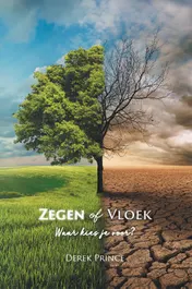 Omslag van Zegen of vloek