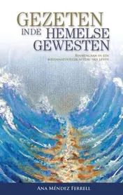 Omslag van Gezeten in de hemelse gewesten