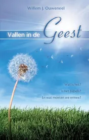 Omslag van Vallen in de Geest