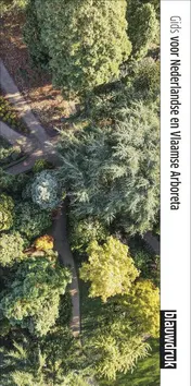 Omslag van Gids voor Nederlandse en Vlaamse arboreta