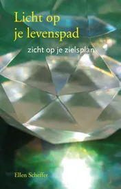 Omslag van Licht op je levenspad