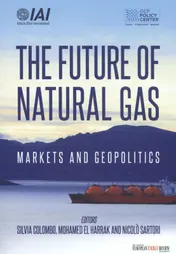 Omslag van The future of natural gas