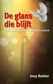 Omslag van De glans die blijft