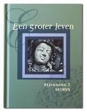 Omslag van Een groter leven