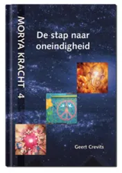Omslag van De stap naar oneindigheid